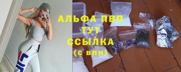 крисы Алексин