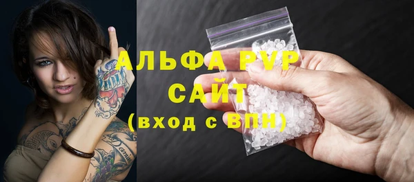 крисы Алексин