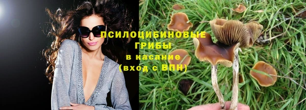 крисы Алексин