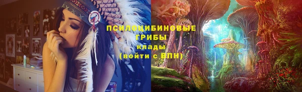 МДМА Алексеевка