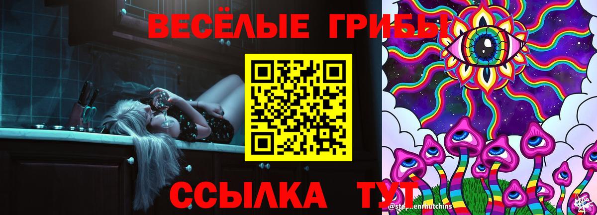 Бийск  Псилоцибиновые грибы MAGIC MUSHROOMS  Вход с VPN 