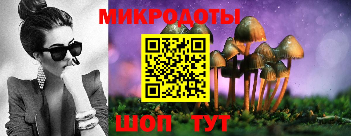 Галлюциногенные грибы мухоморы Бийск